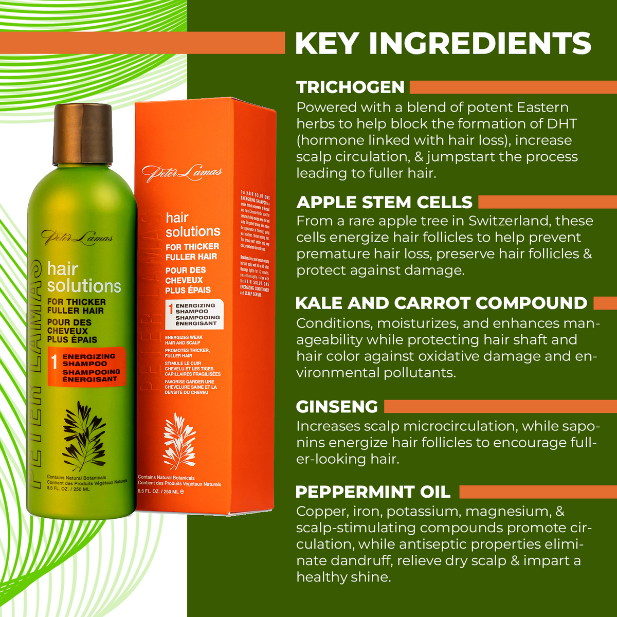 Hair Solutions | Energizing Hair Growth Shampoo